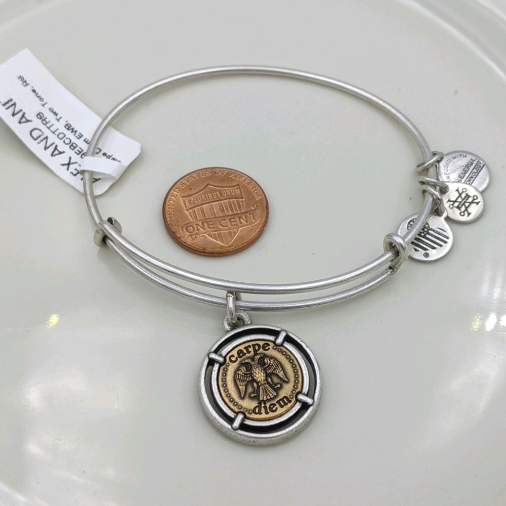 Alex and Ani Silver Gold Carpe Diem Bracelet NWT